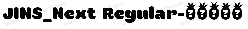 JINS_Next Regular字体转换